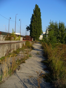 pozemok v priemyselnej časti Trnavy